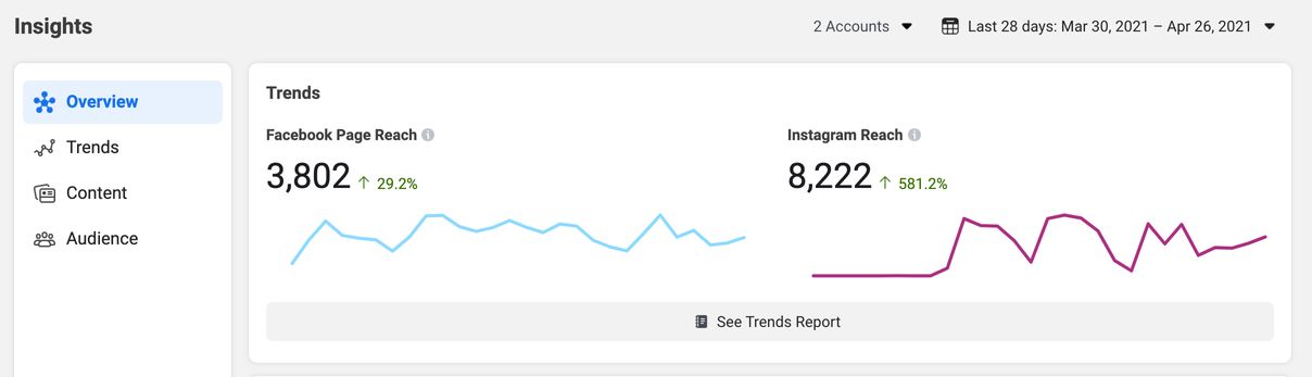 Facebook Business Suite Insights