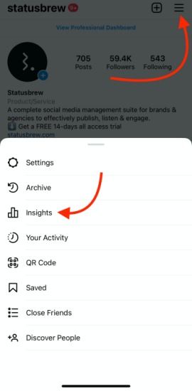 Instagram Profile Insights Menu