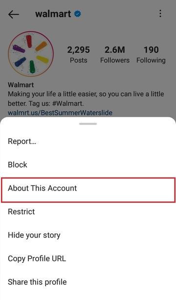 Active Ads Button Instagram