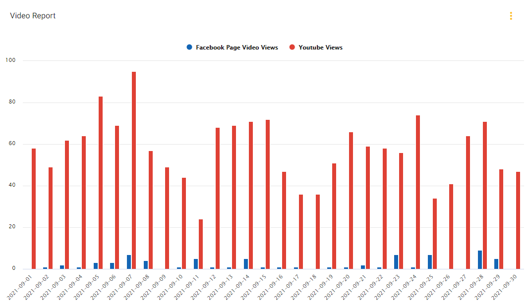 Social Media Videos Reports