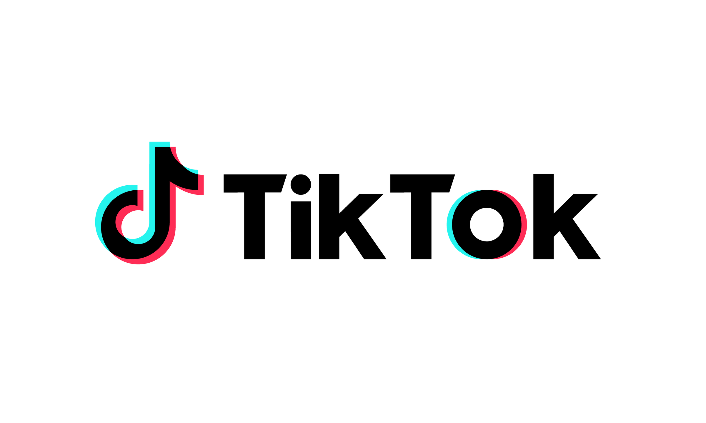 Tiktok Icon And Guidelines