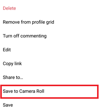Save Your Instagram Videos To Camera Roll