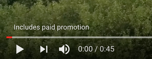 YouTube Monetization Methods: Paid Sponsorships
