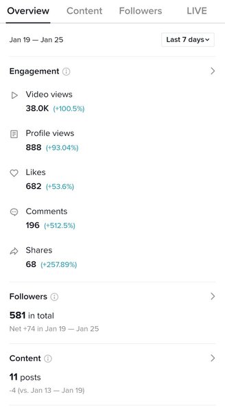 TikTok Overview Analytics