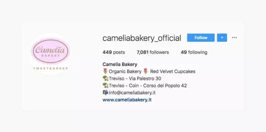 camelia-bakery-instagram-bio