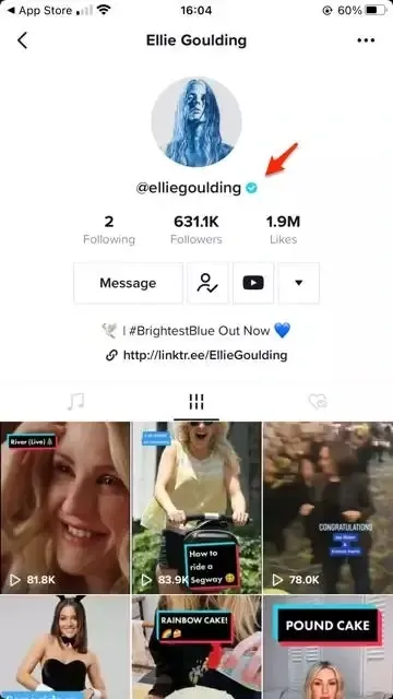 Users Who Are Easily Verified On TikTok