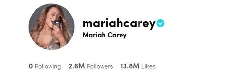 How Many Followers Do You Need To Get Verified On TikTok