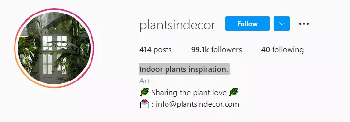 PlantsInDecor Instagram