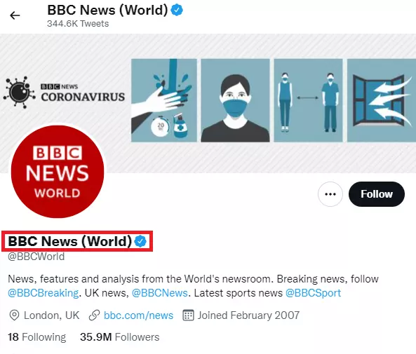 Twitter Handle Vs. Twitter Display Name