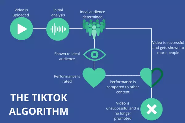 Understand The TikTok Algorithm