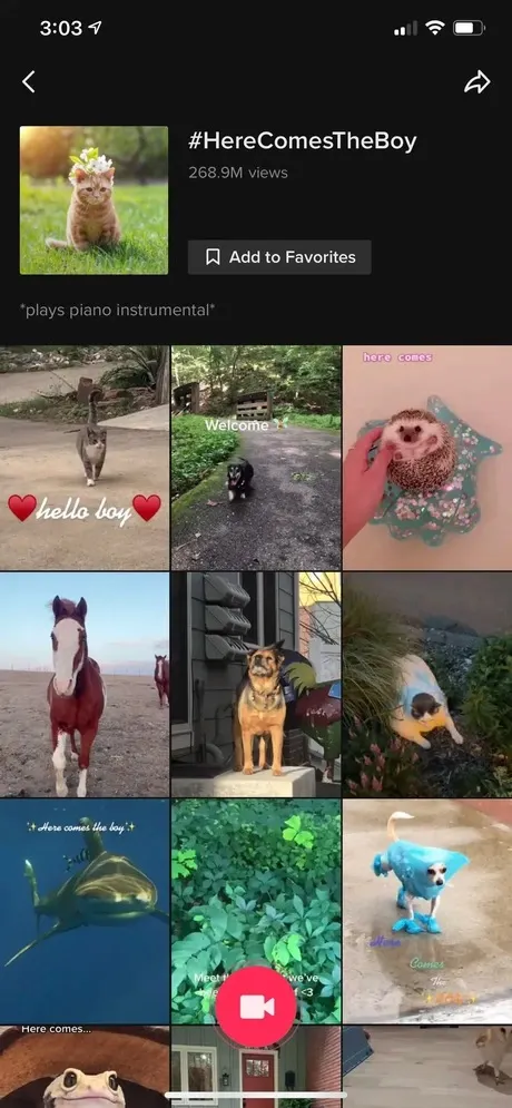 Use Trending Music & TikTok Recommended Sounds