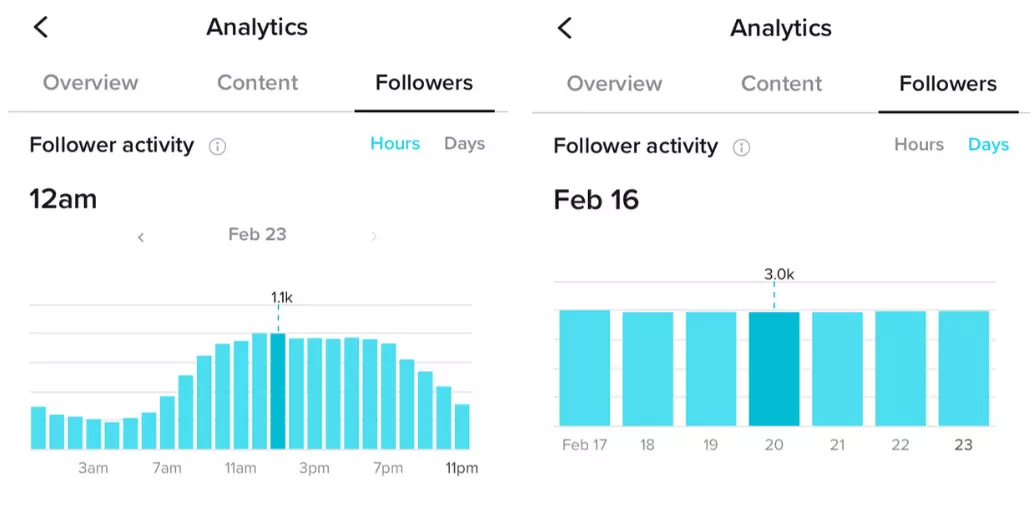 Followers Insights