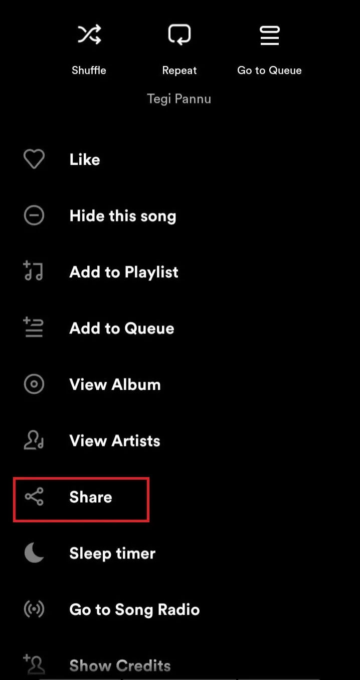 Instagram Music