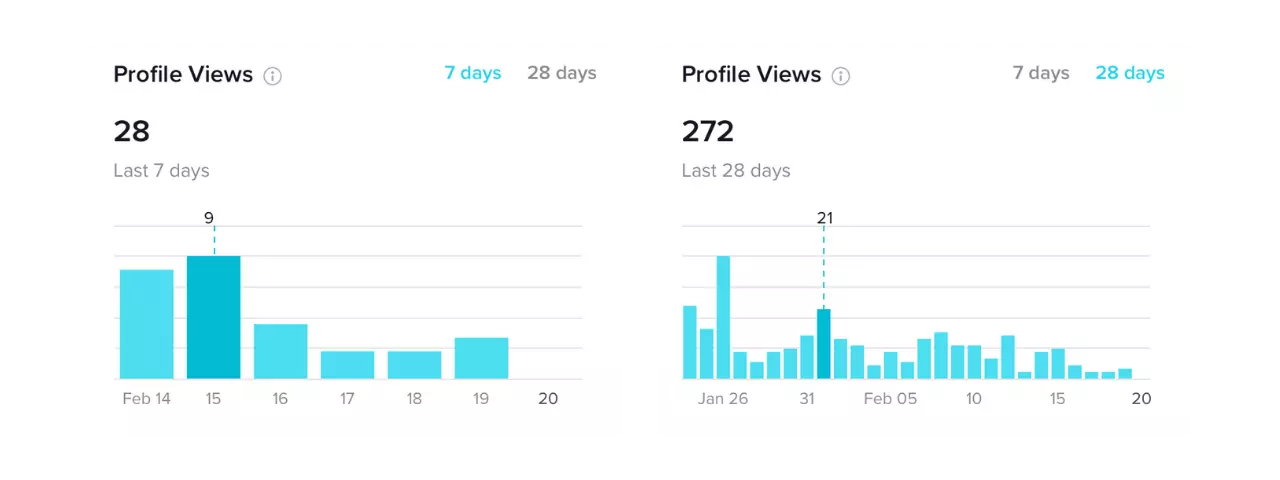 TikTok Analytics: Profile Views