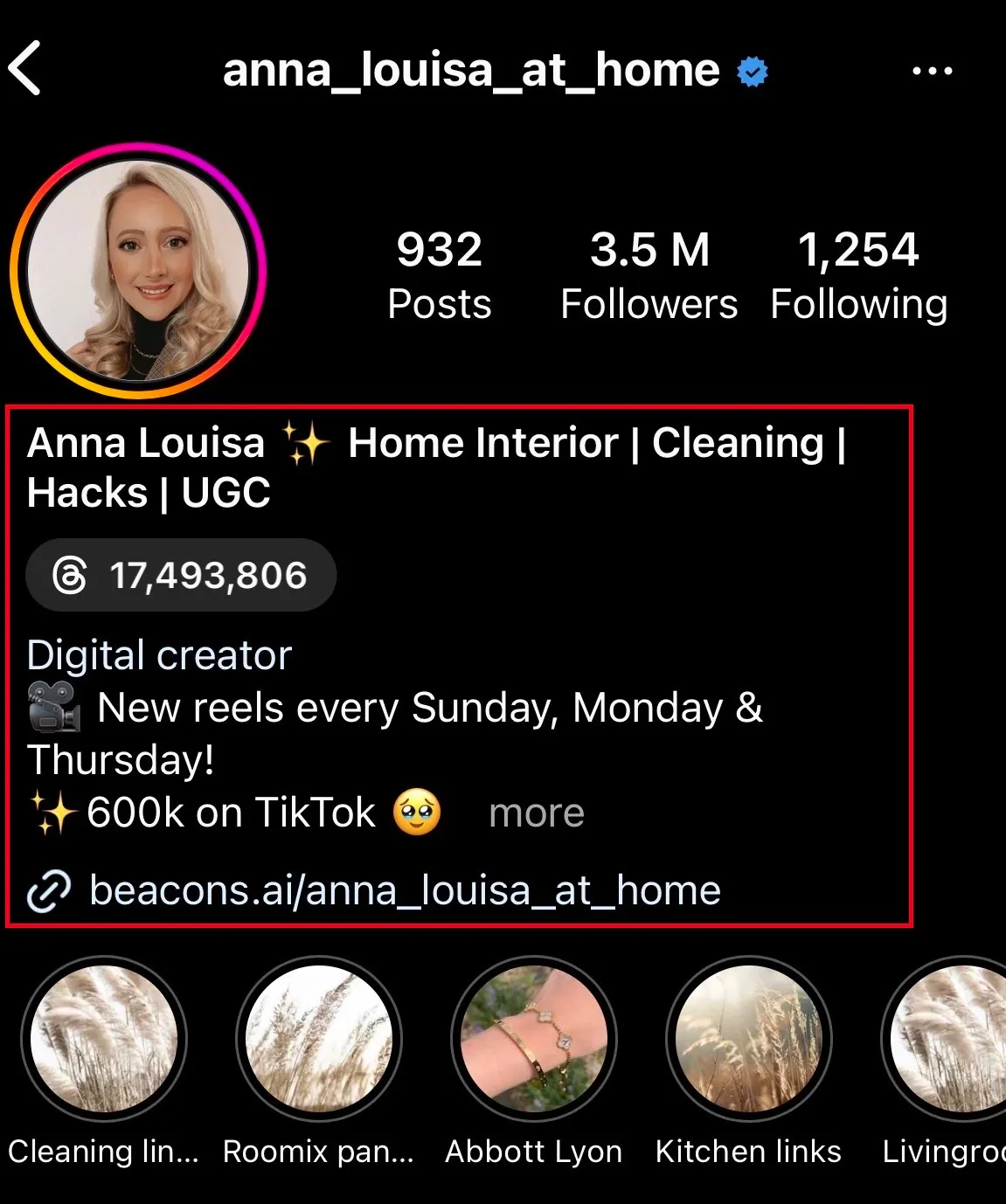 anna-louisa