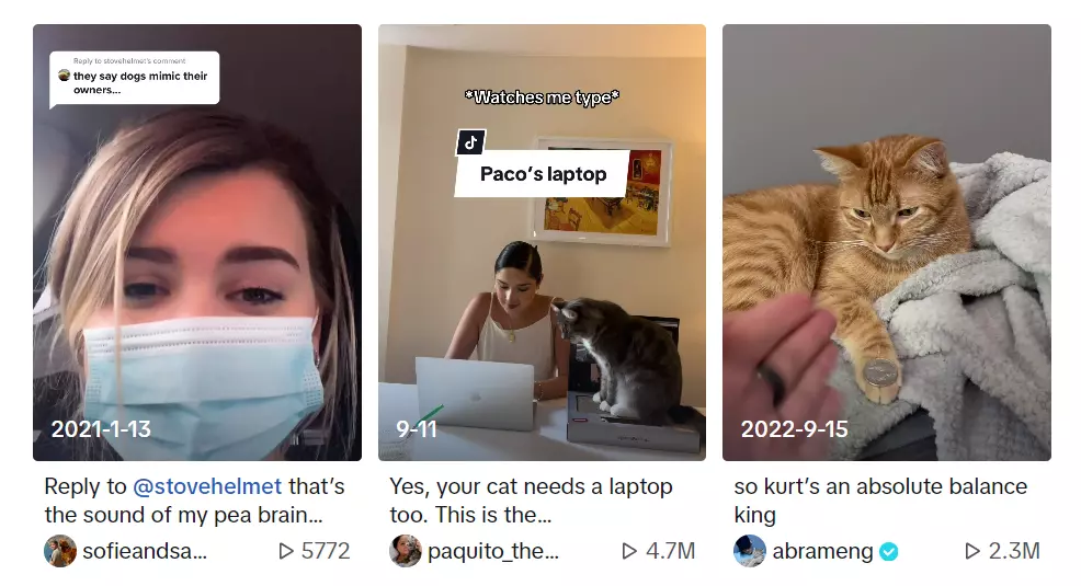Mimicking-Pets