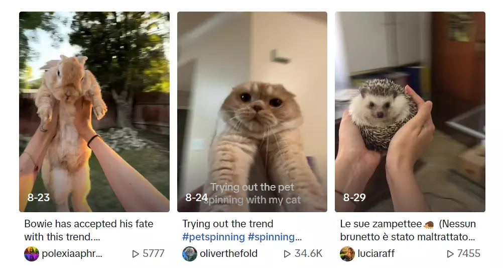 Pet-Spinning-Challenge